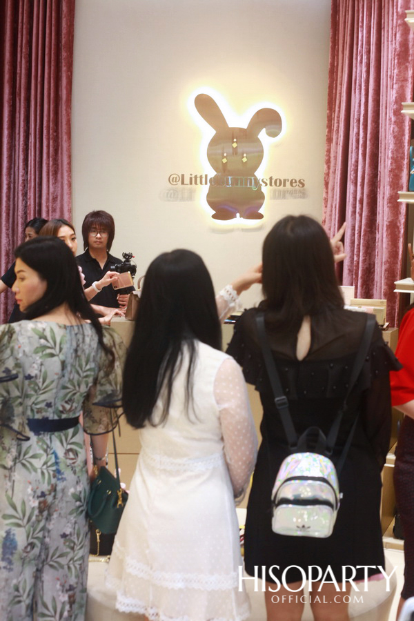 HISOPARTY X Littlebunnystores