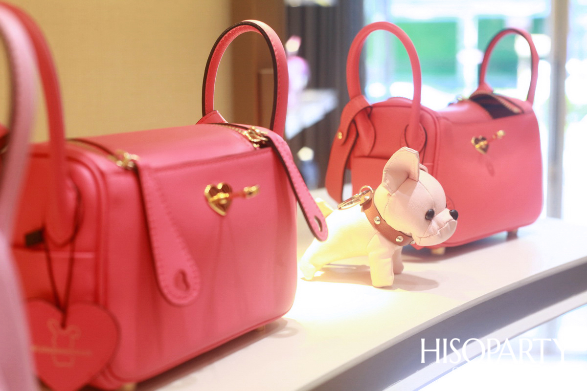 HISOPARTY X Littlebunnystores