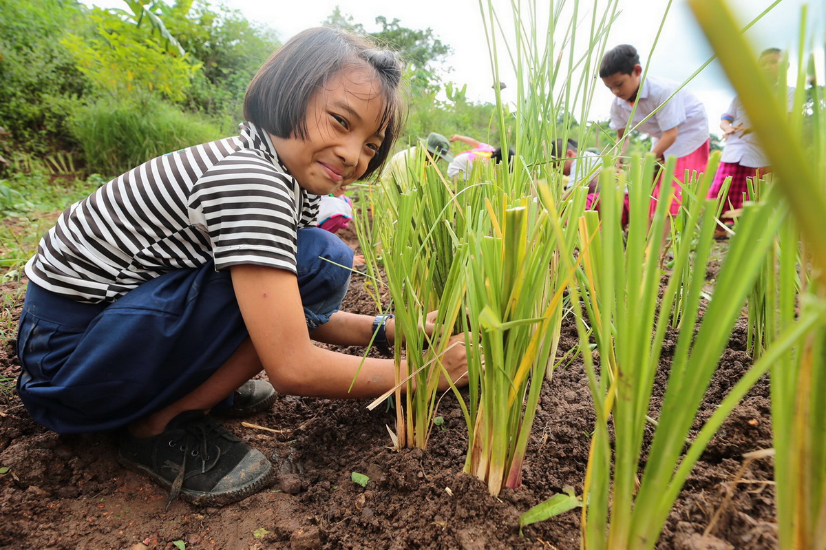 บางจากฯ จัดโครงการ ‘Stop Soil Erosion, Save our Future หยุดการชะล้างพังทลายของดิน คืนชีวิตให้แก่นมะกรูด ด้วยศาสตร์พระราชา’