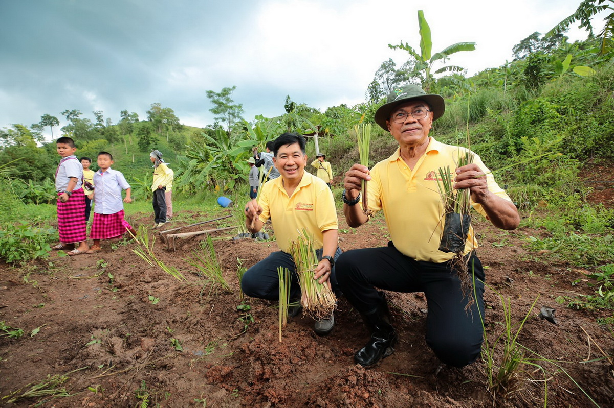 บางจากฯ จัดโครงการ ‘Stop Soil Erosion, Save our Future หยุดการชะล้างพังทลายของดิน คืนชีวิตให้แก่นมะกรูด ด้วยศาสตร์พระราชา’