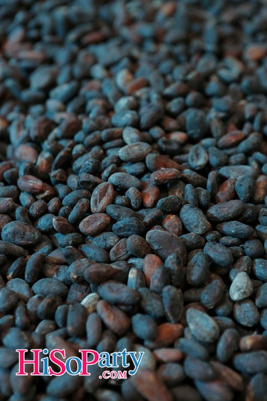 BVLGARI The Fall-Winter 2015 Accessories Collection