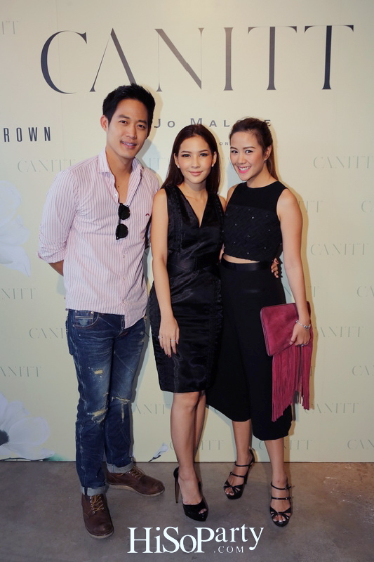 CANITT: Shades of Meaning