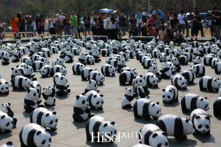 เปิดกิจกรรมแฟลชม็อบ 1600 Pandas+ World Tour in Thailand