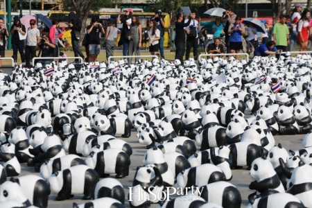 เปิดกิจกรรมแฟลชม็อบ 1600 Pandas+ World Tour in Thailand