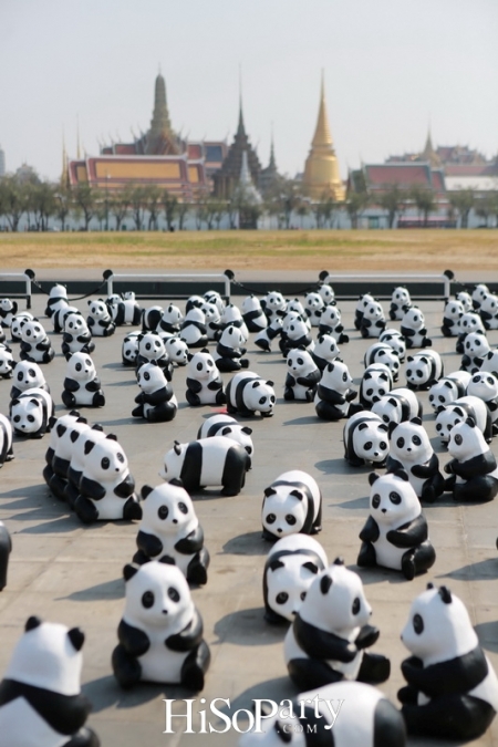 เปิดกิจกรรมแฟลชม็อบ 1600 Pandas+ World Tour in Thailand