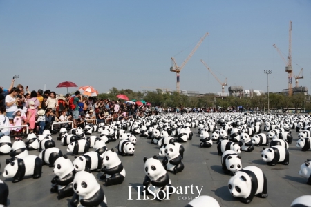 เปิดกิจกรรมแฟลชม็อบ 1600 Pandas+ World Tour in Thailand