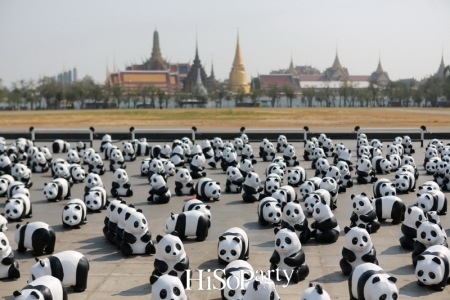 เปิดกิจกรรมแฟลชม็อบ 1600 Pandas+ World Tour in Thailand