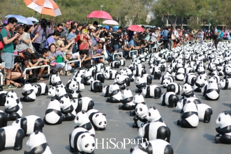 เปิดกิจกรรมแฟลชม็อบ 1600 Pandas+ World Tour in Thailand