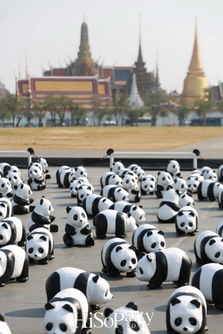 เปิดกิจกรรมแฟลชม็อบ 1600 Pandas+ World Tour in Thailand