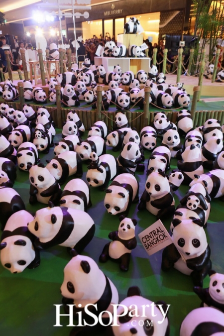 1600 PANDAS+ World Tour in Thailand