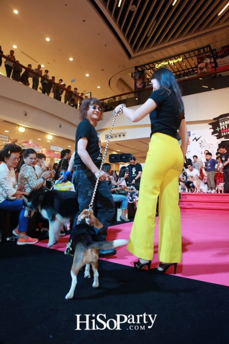 BKK Pet Charity 2016