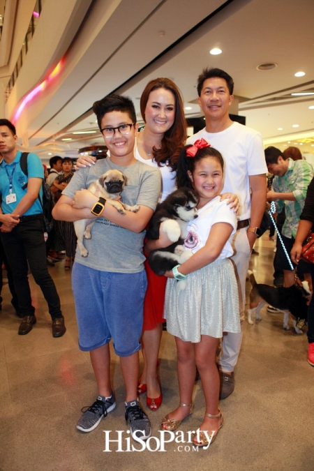 BKK Pet Charity 2016