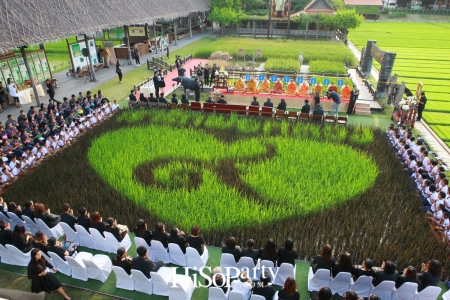 ทำบุญ รับขวัญข้าว เรารักพ่อหลวง