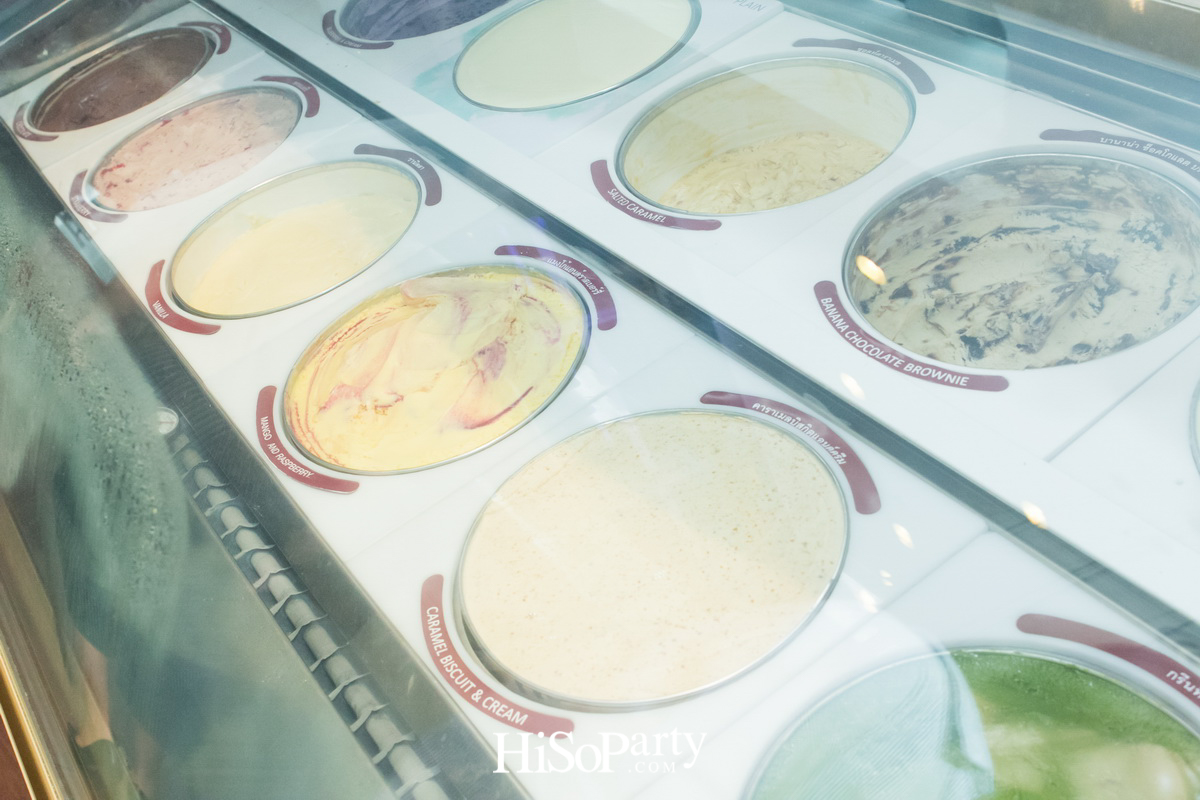 Afternoon of Indulgence with The New ‘Frozen Yogurt’