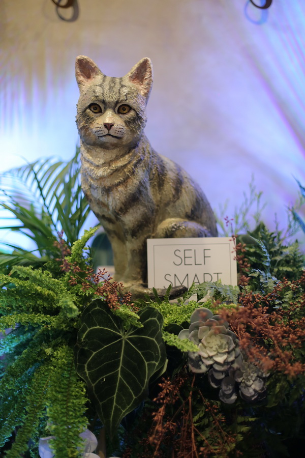 Iconic Women Alliance คอมมูนิตี้สำหรับผู้หญิงยุคใหม่!