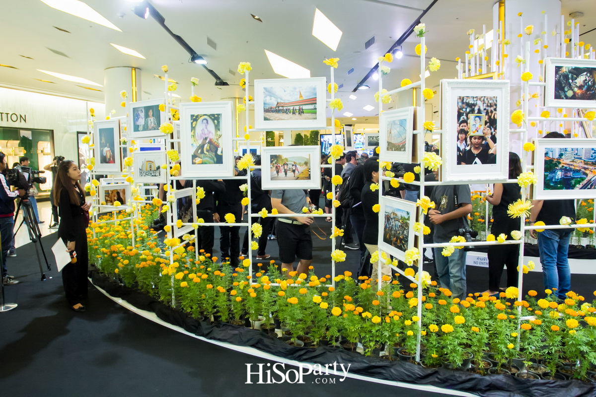 บันทึกความทรงจำอันยิ่งใหญ่ของเหล่าพสกนิกรในนิทรรศการ ‘นิรันดร์ในดวงใจ’