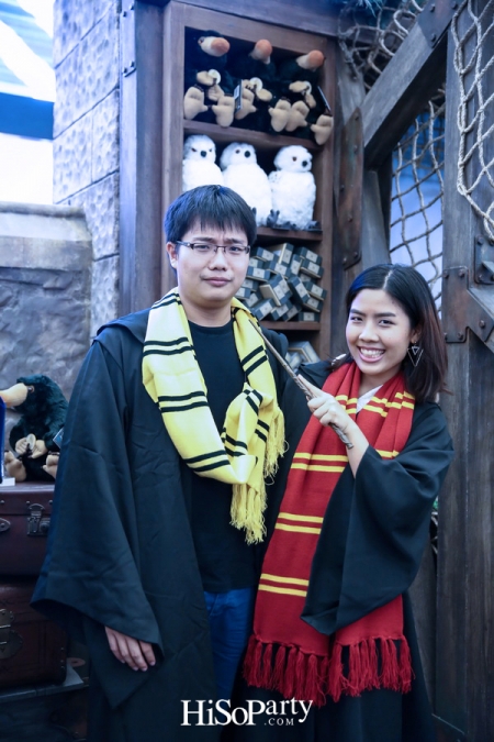 Harry Potter Christmas in The Wizarding World