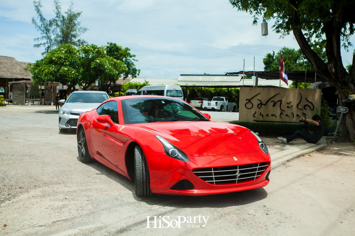 HiSoParty 14th Anniversary Celebration