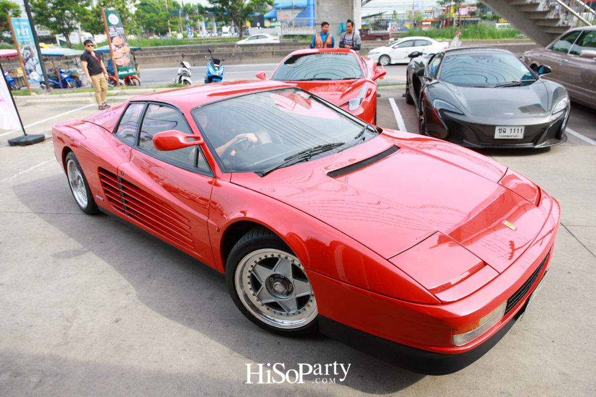 HiSoParty 14th Anniversary Celebration