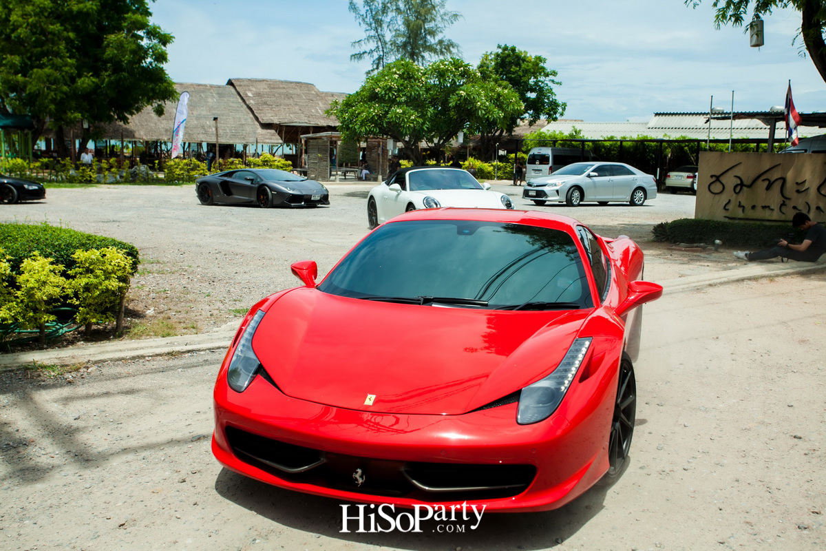 HiSoParty 14th Anniversary Celebration