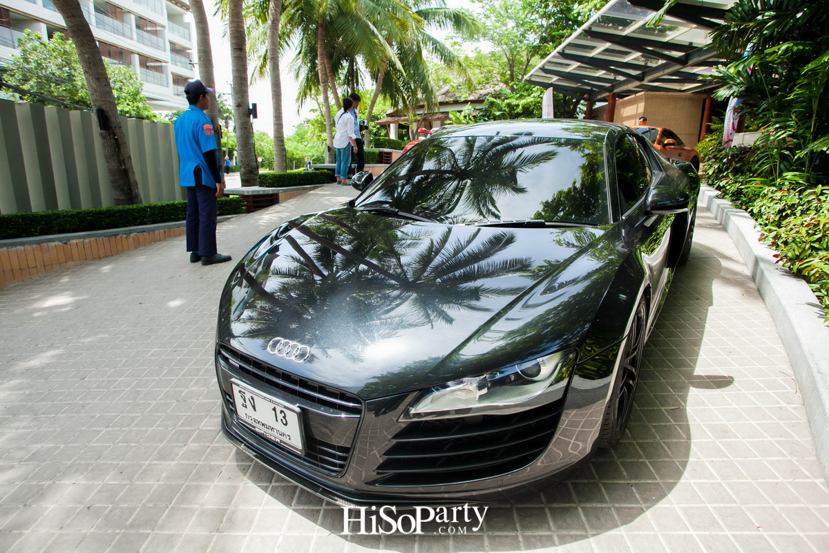 HiSoParty 14th Anniversary Celebration