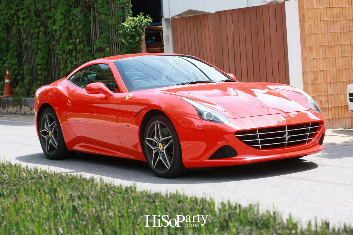 HiSoParty 14th Anniversary Celebration