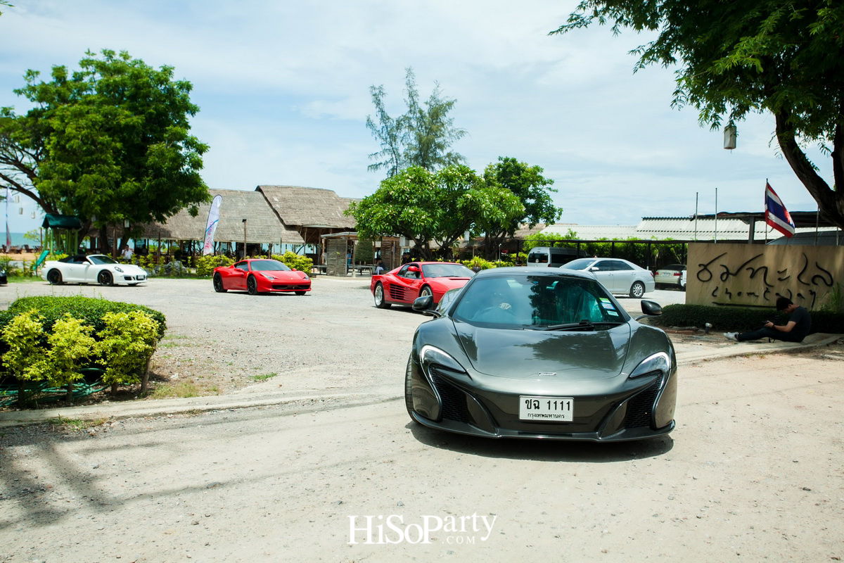 HiSoParty 14th Anniversary Celebration