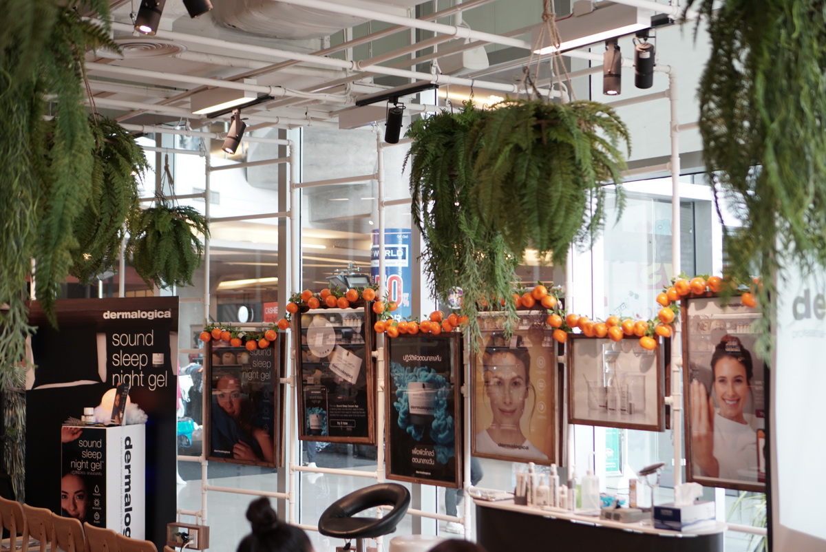 Brighter Skin from Within – Dermalogica