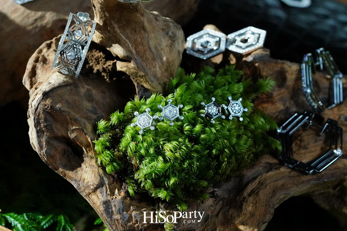 PHYA: The Geometry Collection