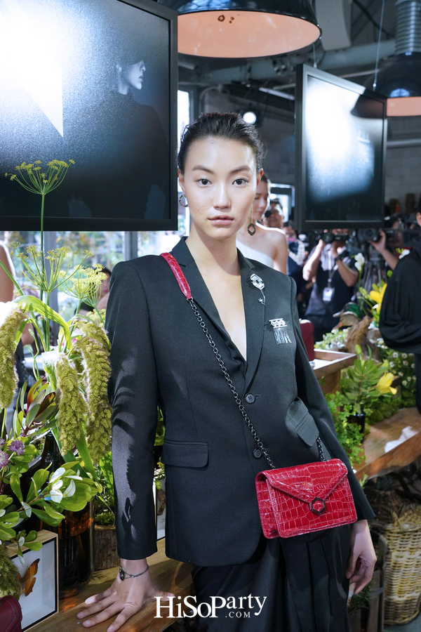 PHYA: The Geometry Collection