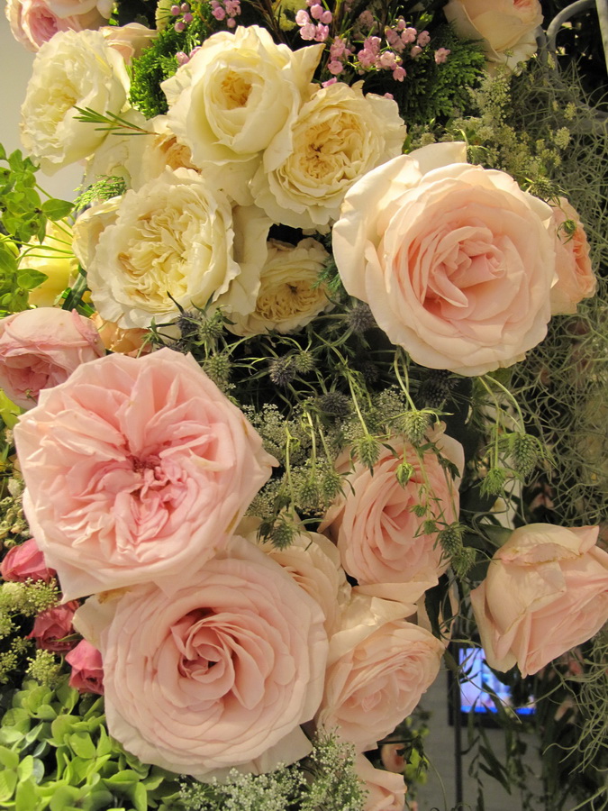 ‘ห้างเซ็นทรัล’ เตรียมฉลองครบรอบ 71 ปี อย่างยิ่งใหญ่ ตระการตากับมวลดอกไม้นับล้านดอกในคอนเซ็ปต์ ‘The World of Floral Wonders’