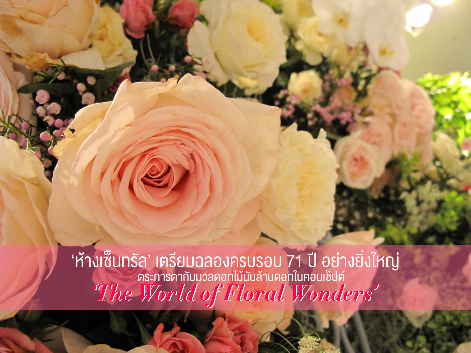 ‘ห้างเซ็นทรัล’ เตรียมฉลองครบรอบ 71 ปี อย่างยิ่งใหญ่ ตระการตากับมวลดอกไม้นับล้านดอกในคอนเซ็ปต์ ‘The World of Floral Wonders’