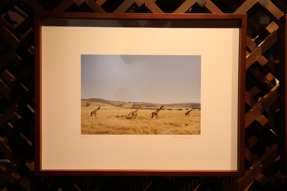 พิธีเปิดงาน ‘Little Wild’ นิทรรศการภาพถ่ายฝีพระหัตถ์ พระเจ้าหลานเธอ พระองค์เจ้าสิริวัณณวรีนารีรัตน์