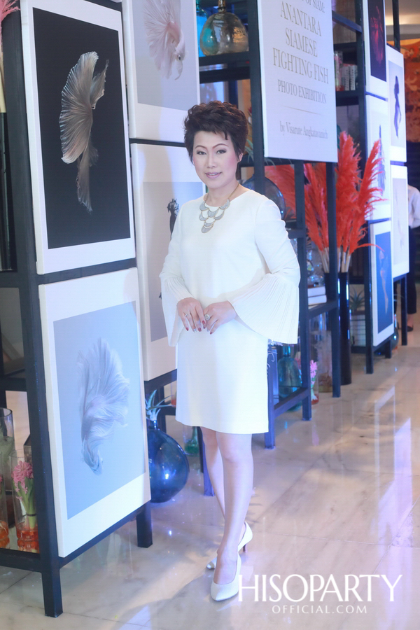 เชิญชมนิทรรศการภาพถ่าย ‘ปลากัดไทย ความงามแห่งสยาม’