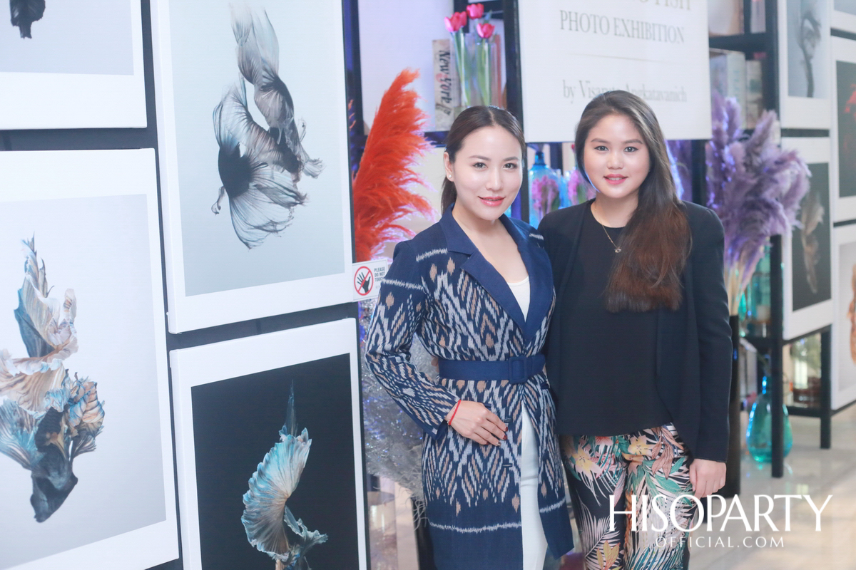 เชิญชมนิทรรศการภาพถ่าย ‘ปลากัดไทย ความงามแห่งสยาม’