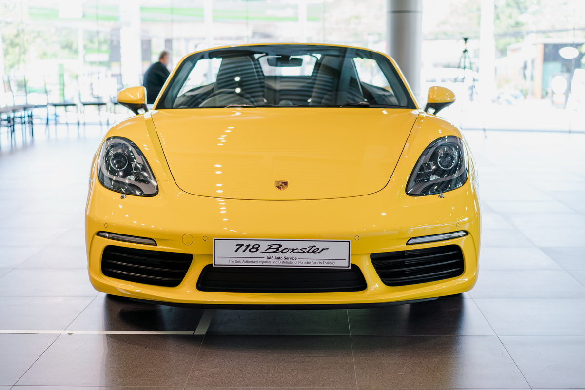 The Parrot Fall/Winter 2019