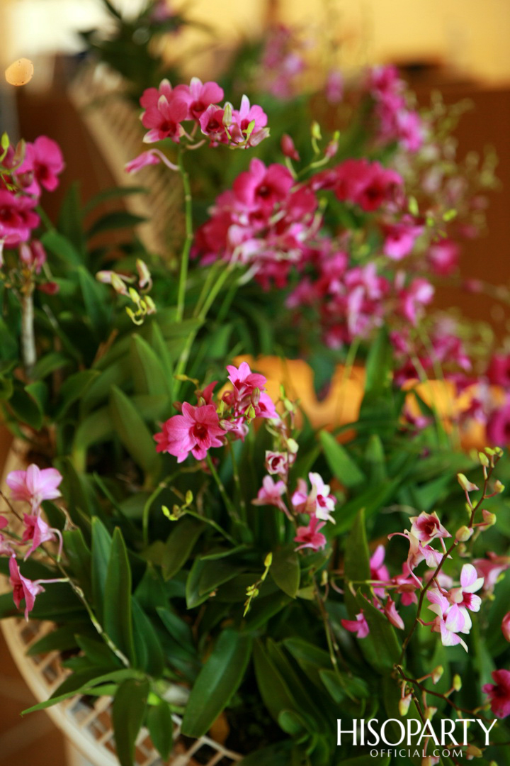 PAÑPURI WELLNESS 2nd ANNIVERSARY