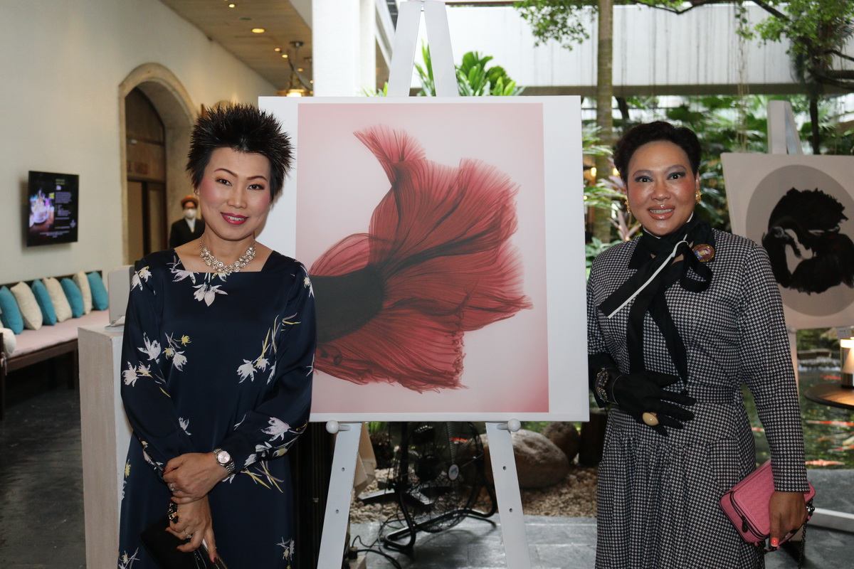 ‘The Fighting Fish Private Cellar Selection’ งานเปิดตัวไวน์คอลเลกชันปลากัดไทย