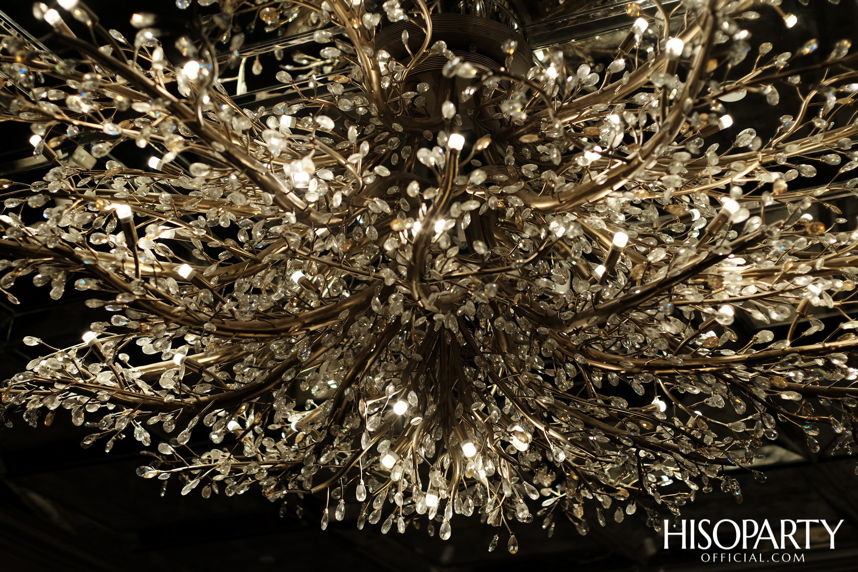 Glamorous with Diamond พลังความงามจาก Beauty Gems และค่ำคืนพิเศษกับการร่วมฉลอง HISOPARTY 17 ปี