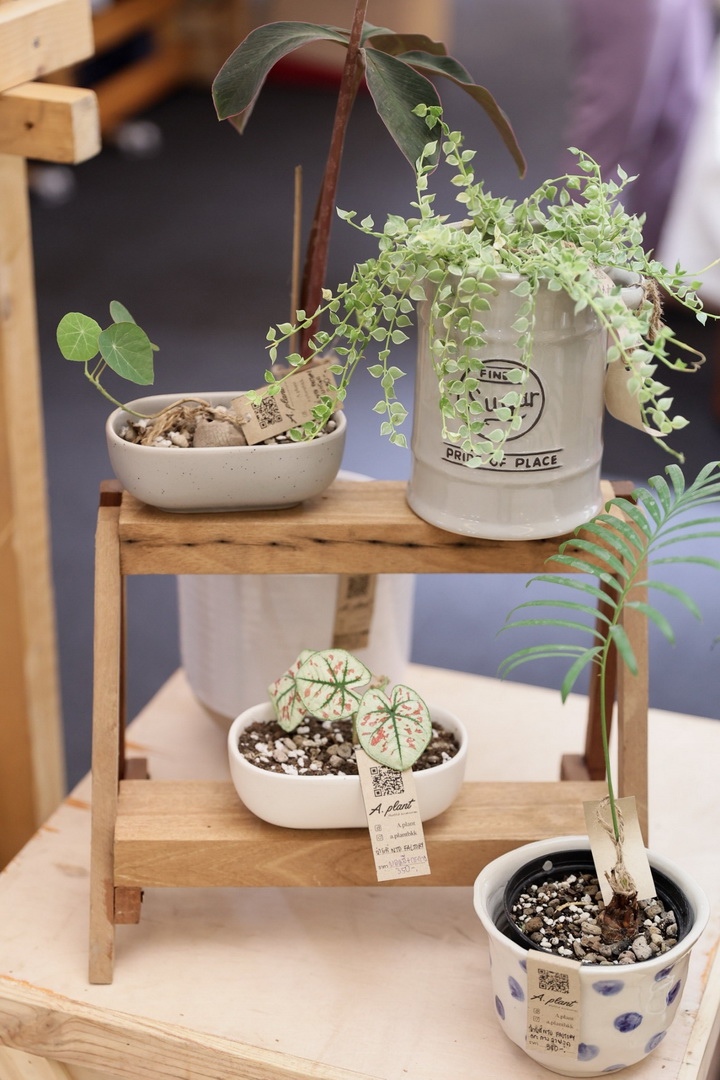 OneSiam เปิดพื้นที่ช่วยผู้ประกอบการรายย่อยและชุมชน จัด ‘สยามรวมใจ ไทยช่วยไทย’