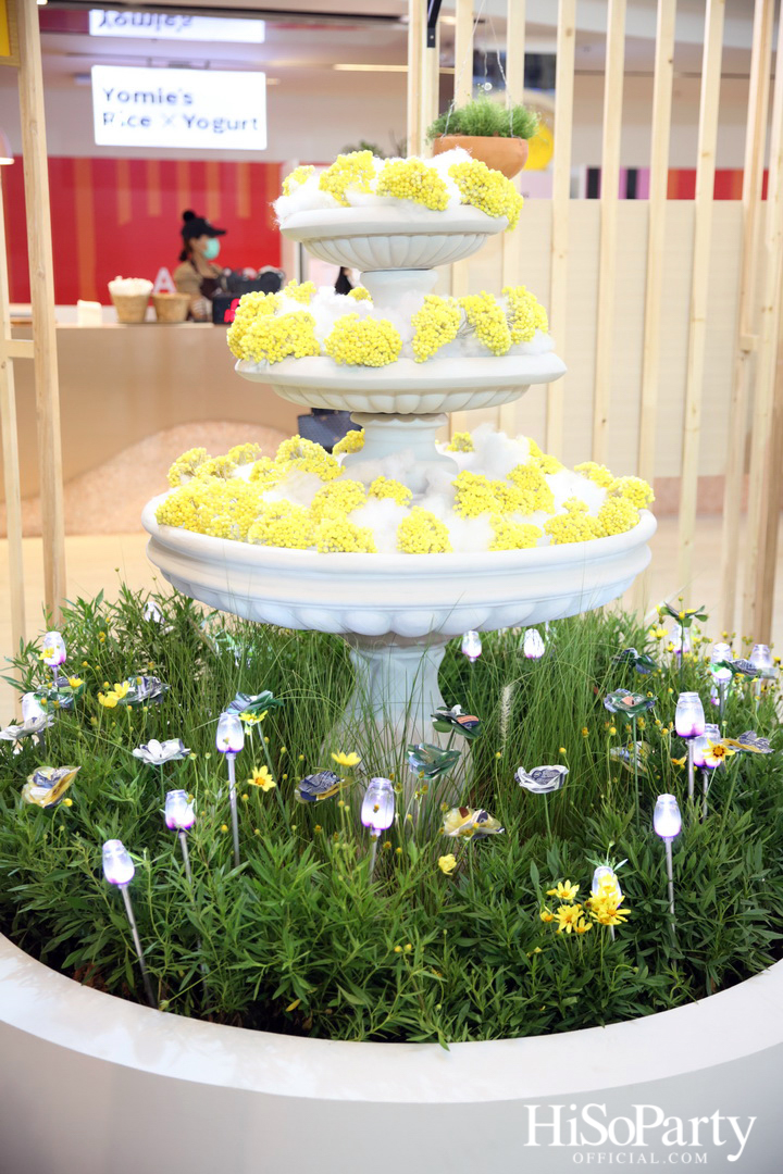 L'occitane Beauty Market 2022