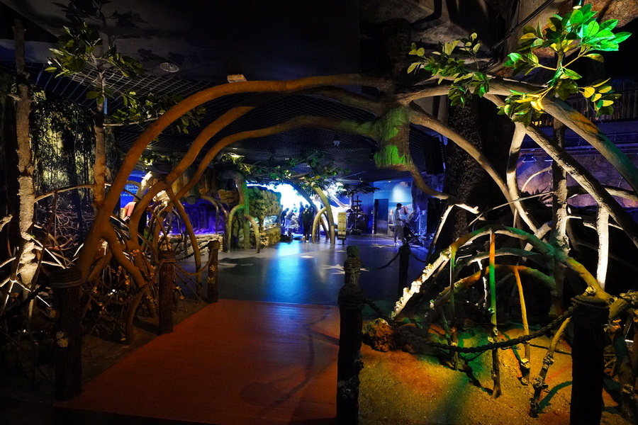 ‘Rock Pool Explorer...แอ่งหินเรียนรู้’ โซนใหม่ล่าสุดจาก ซีไลฟ์ แบงคอก