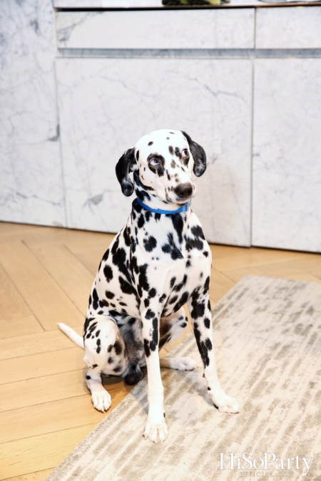 Exclusive Launching Event - GIVENCHY X DISNEY: THE 101 DALMATIANS CAPSULE COLLECTION