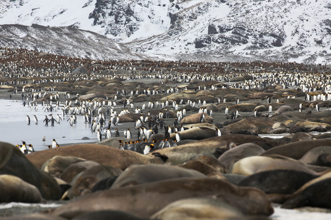 งานเปิดตัว A2A SAFARIS ในประเทศไทย 