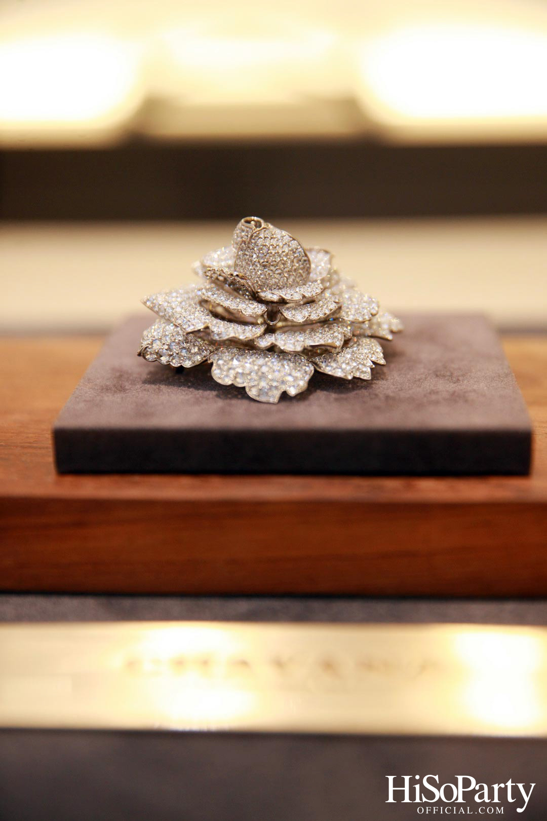 Whispering Tale of ‘CHAVANA’