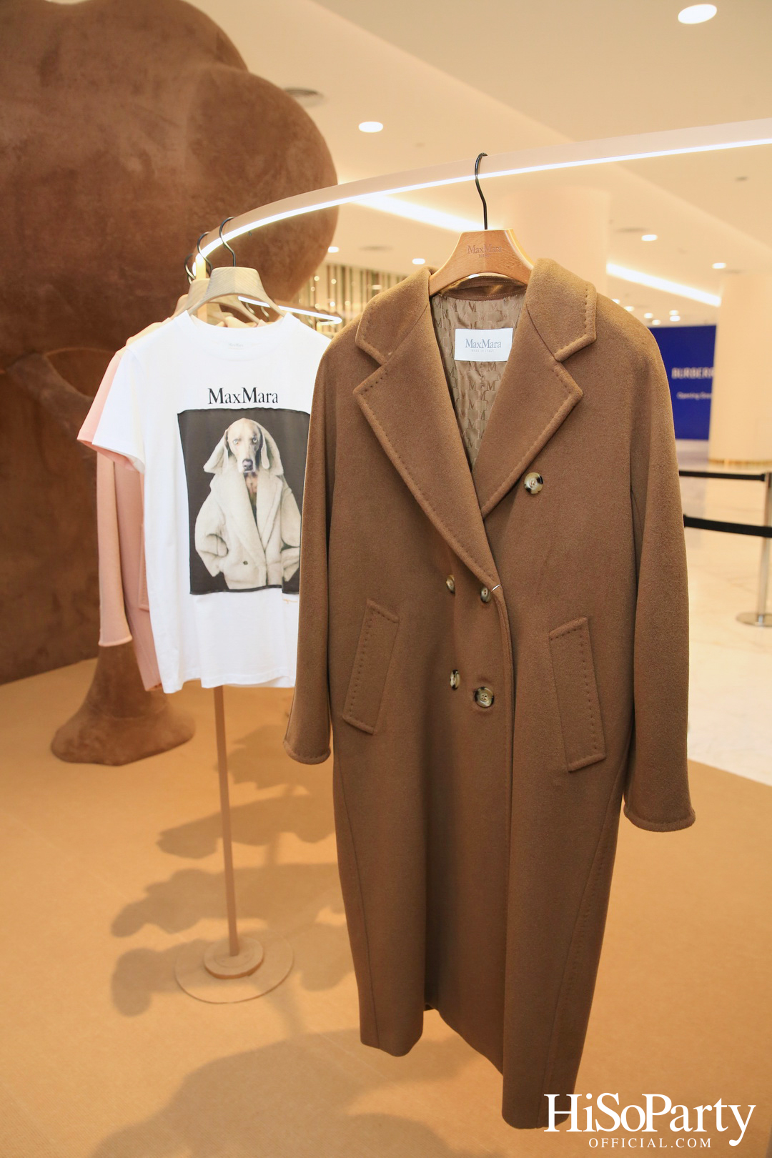 Max Mara Teddy Ten Pop Up