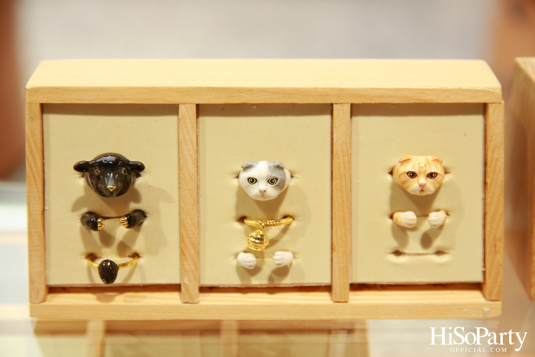 Comma And 1st Anniversary 