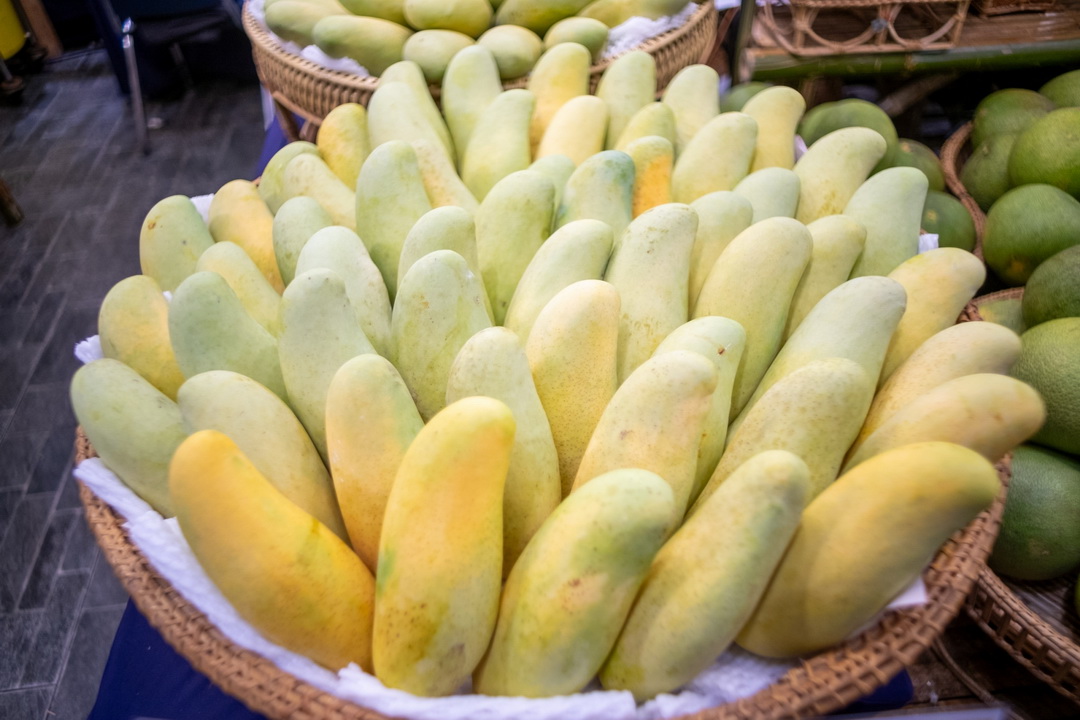 ไอคอนสยาม ร่วมกับเมืองสุขสยาม และเดียร์ทัมมี่ ต้อนรับฤดูกาลมหัศจรรย์แห่งผลไม้ปี 2567