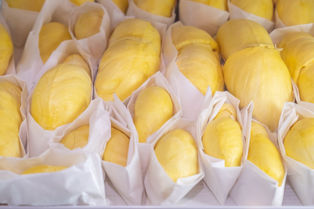 ไอคอนสยาม ร่วมกับเมืองสุขสยาม และเดียร์ทัมมี่ ต้อนรับฤดูกาลมหัศจรรย์แห่งผลไม้ปี 2567