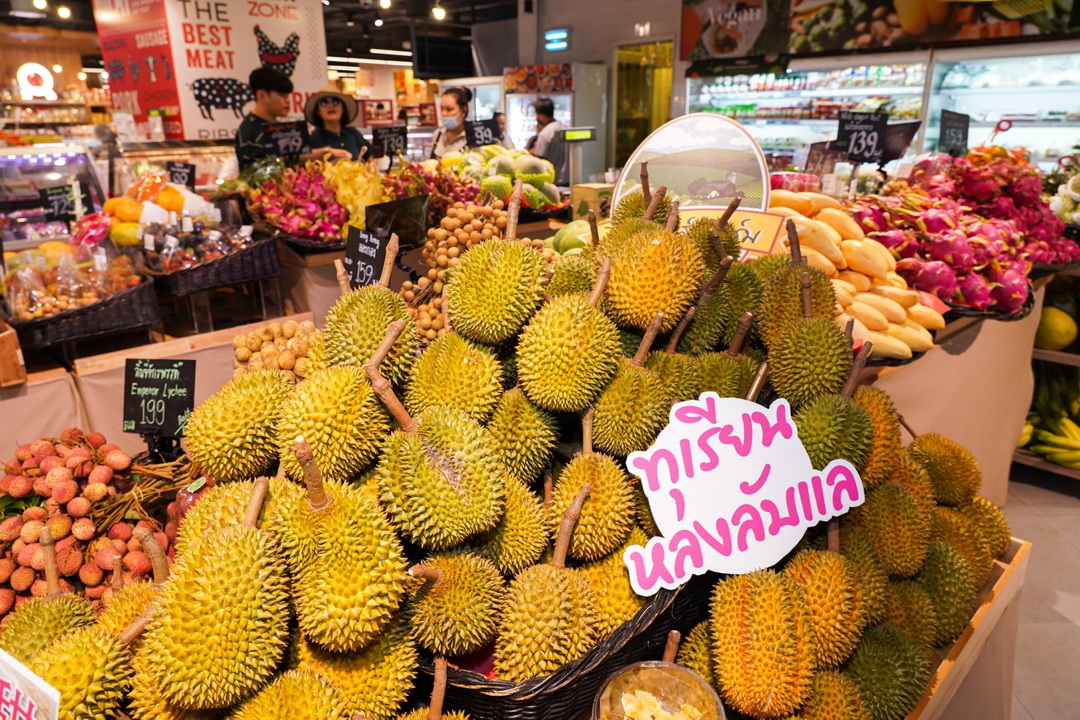 ไอคอนสยาม ร่วมกับเมืองสุขสยาม และเดียร์ทัมมี่ ต้อนรับฤดูกาลมหัศจรรย์แห่งผลไม้ปี 2567